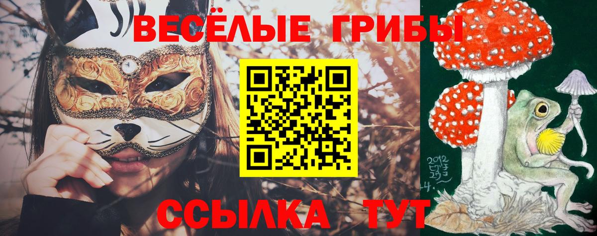 Галлюциногенные грибы ЛСД  Вход с VPN  Санкт-Петербург 